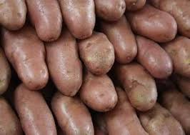 Batata Nacional